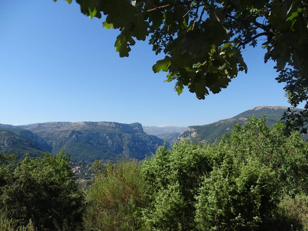 Luva D'Azur, Rez De Villa Le Riou - Le Vallon Le Bar-sur-Loup Екстер'єр фото