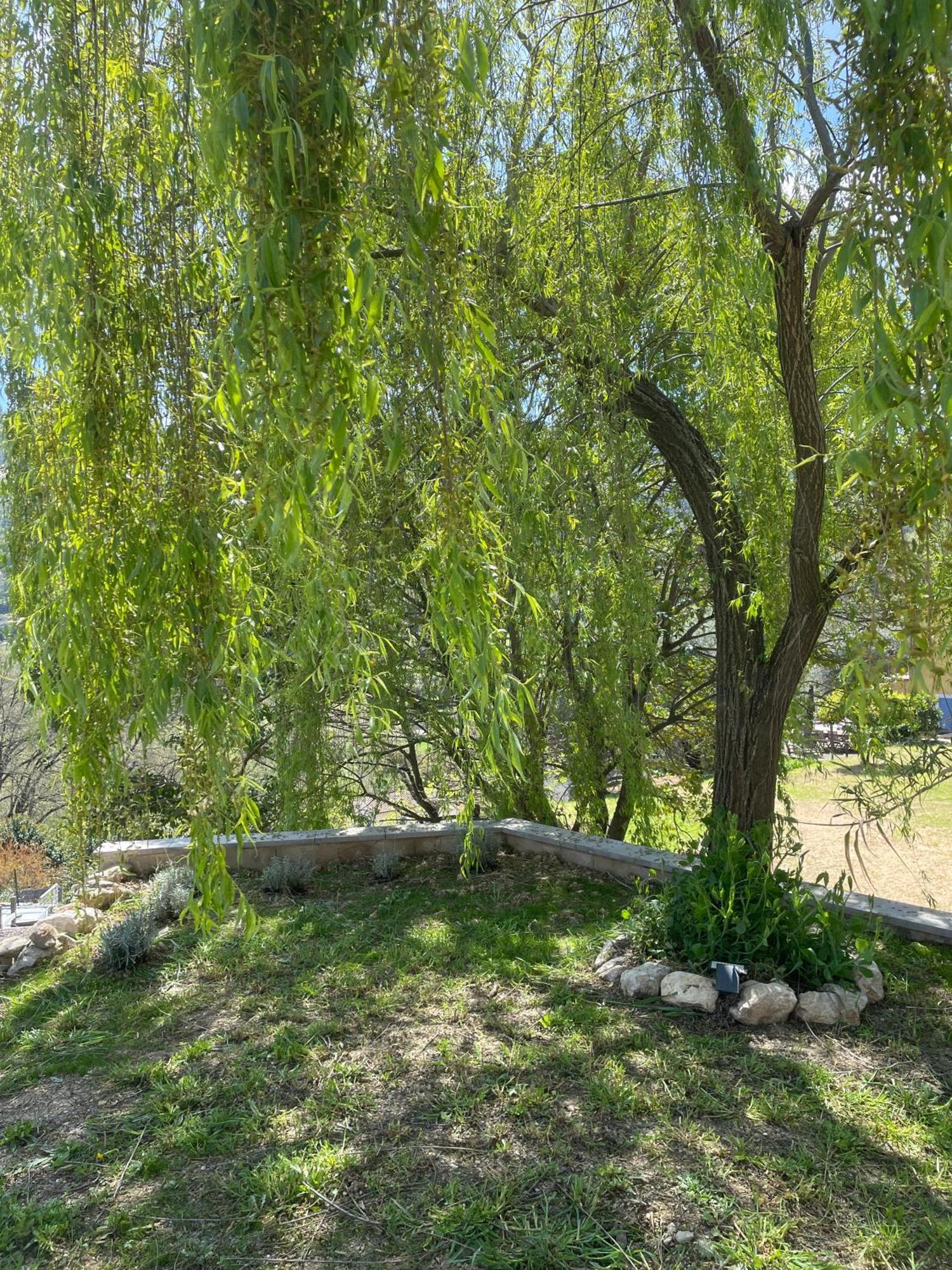 Luva D'Azur, Rez De Villa Le Riou - Le Vallon Le Bar-sur-Loup Екстер'єр фото